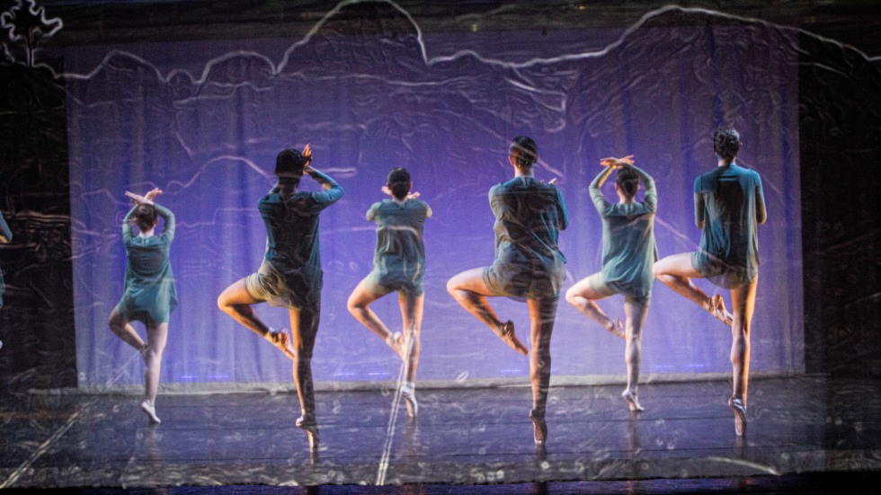 Ballet Dancers behind a scrim. 